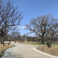 二の丸梅園