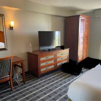 荷物は十分に広げられます。