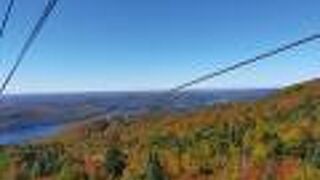 山頂からの景色は素晴らしかったです