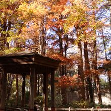 林試の森公園