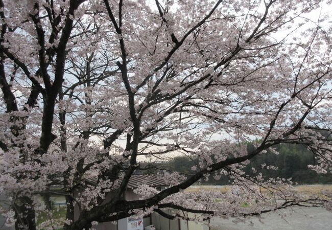 小野上温泉公園