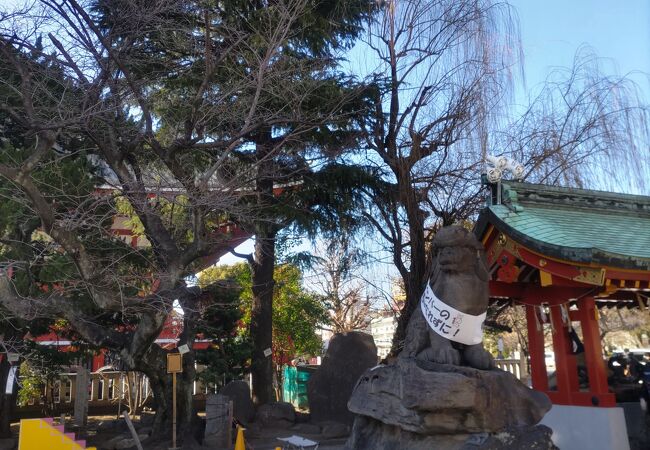 浅草神社(三社さま)