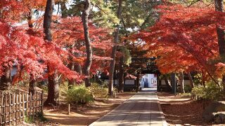 東漸寺