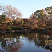 池のある庭園と紅葉もあってきれいでした。