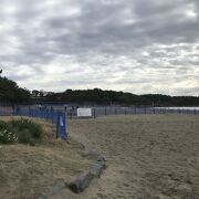 海辺の公園