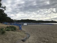 海の公園