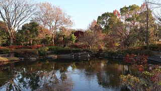 池のある庭園と紅葉もあってきれいでした。