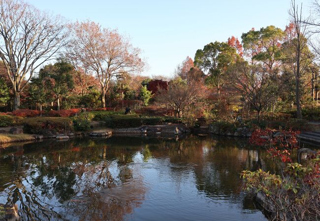 池のある庭園と紅葉もあってきれいでした。