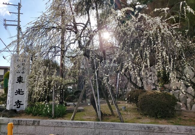 東光寺(門戸厄神)