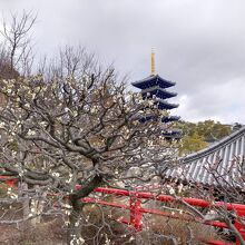 中山寺 五重塔