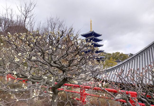 2017年に再建された五重塔