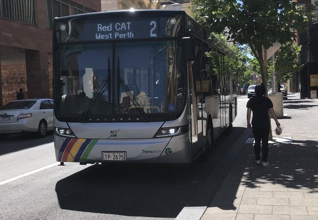 無料の「CATバス」は観光に便利