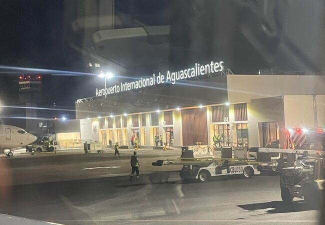 アグアスカリエンテス国際空港 (AGU)