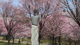 赤城南面千本桜まつり