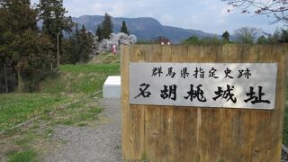 名胡桃城址