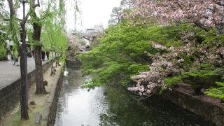 青い空に白壁と柳並木