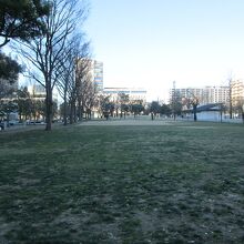 中野四季の森公園