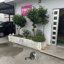 ククルレンタカー 石垣営業所