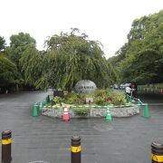 文化芸術の森の公園