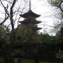 上野恩賜公園五重塔