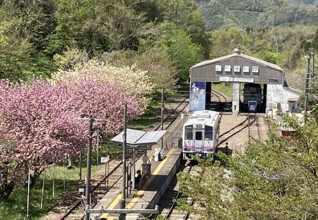 八重桜？と電車が素敵でした