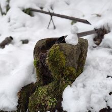 「おいしい清水」