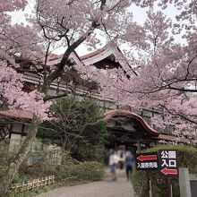 高遠城址公園