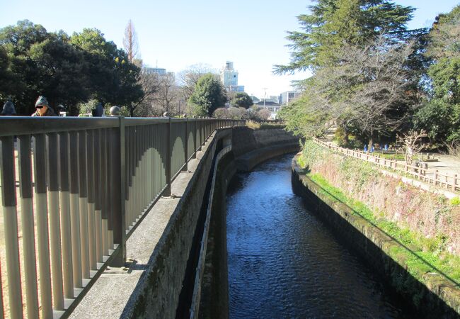 中野散策(2)新井・松が丘・沼袋で哲学堂公園沿いに妙正寺川が流れていました