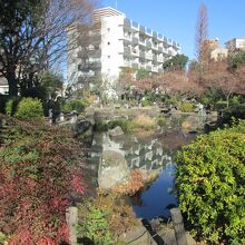 新井薬師公園