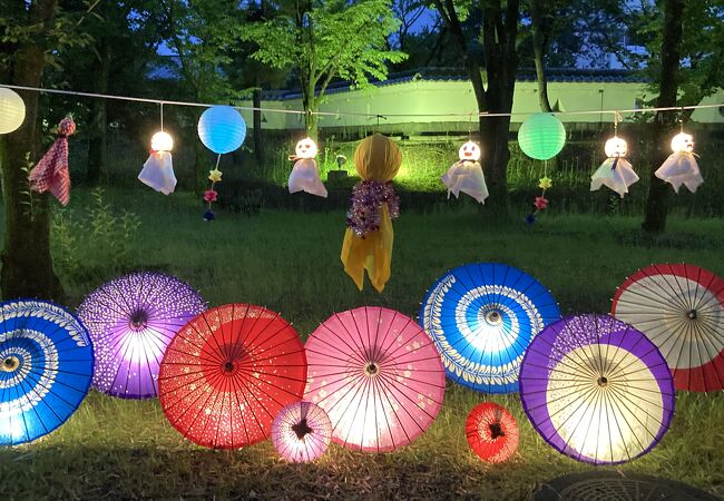 花手水とライトアップがきれいでした