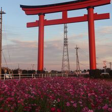 小泉稲荷神社