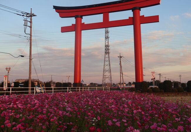 小泉稲荷神社