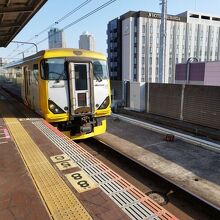 房総特急列車 わかしお