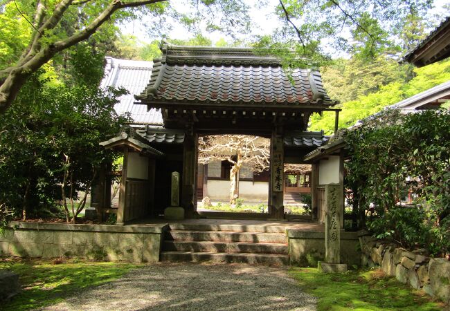 青岸寺