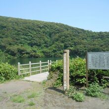 大路池の風景