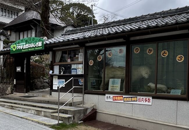 貴重な資料が沢山！生命の神秘を感じる聖地