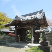  杉並散策(2)永福・和泉・大宮で大円寺に行きました