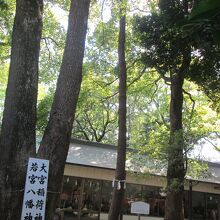 大宮八幡宮