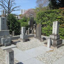 大円寺大山菊子の墓