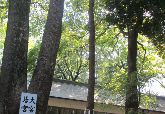 大宮八幡宮