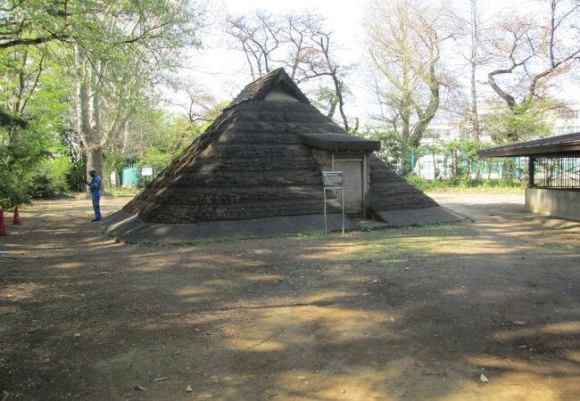 和田堀公園