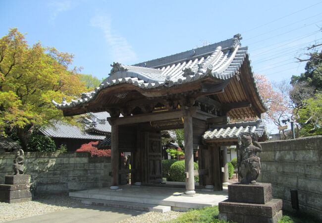  杉並散策(2)永福・和泉・大宮で大円寺に行きました