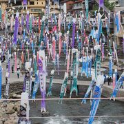 温泉街の川に大量の鯉のぼり　鯉のぼり祭り