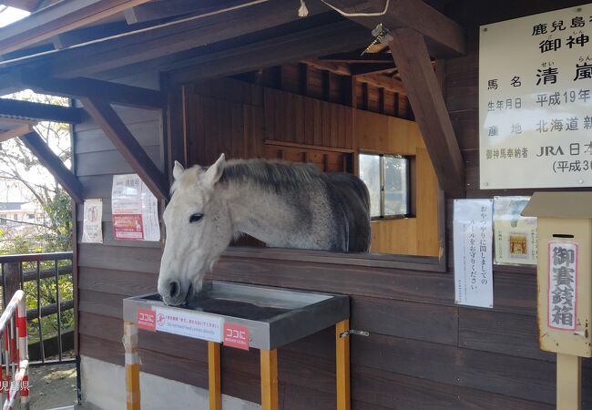 鹿児島神宮