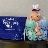 成田空港 ANA DUTY FREE SHOP (第1ターミナル南ウィング)