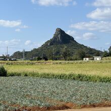 伊江島タッチュー。
