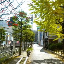 側を流れる池町川もアクセント