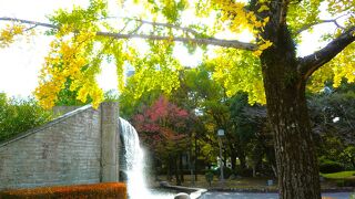 滝の水音と樹木の憩いの森　～　三本松公園