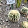 函館市熱帯植物園