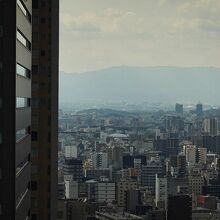 遠く大仙陵古墳(仁徳天皇陵古墳)も見える